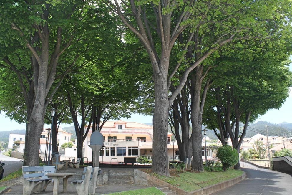 Ourmadeira - Seaview Apartment, Countryside カリェタ エクステリア 写真