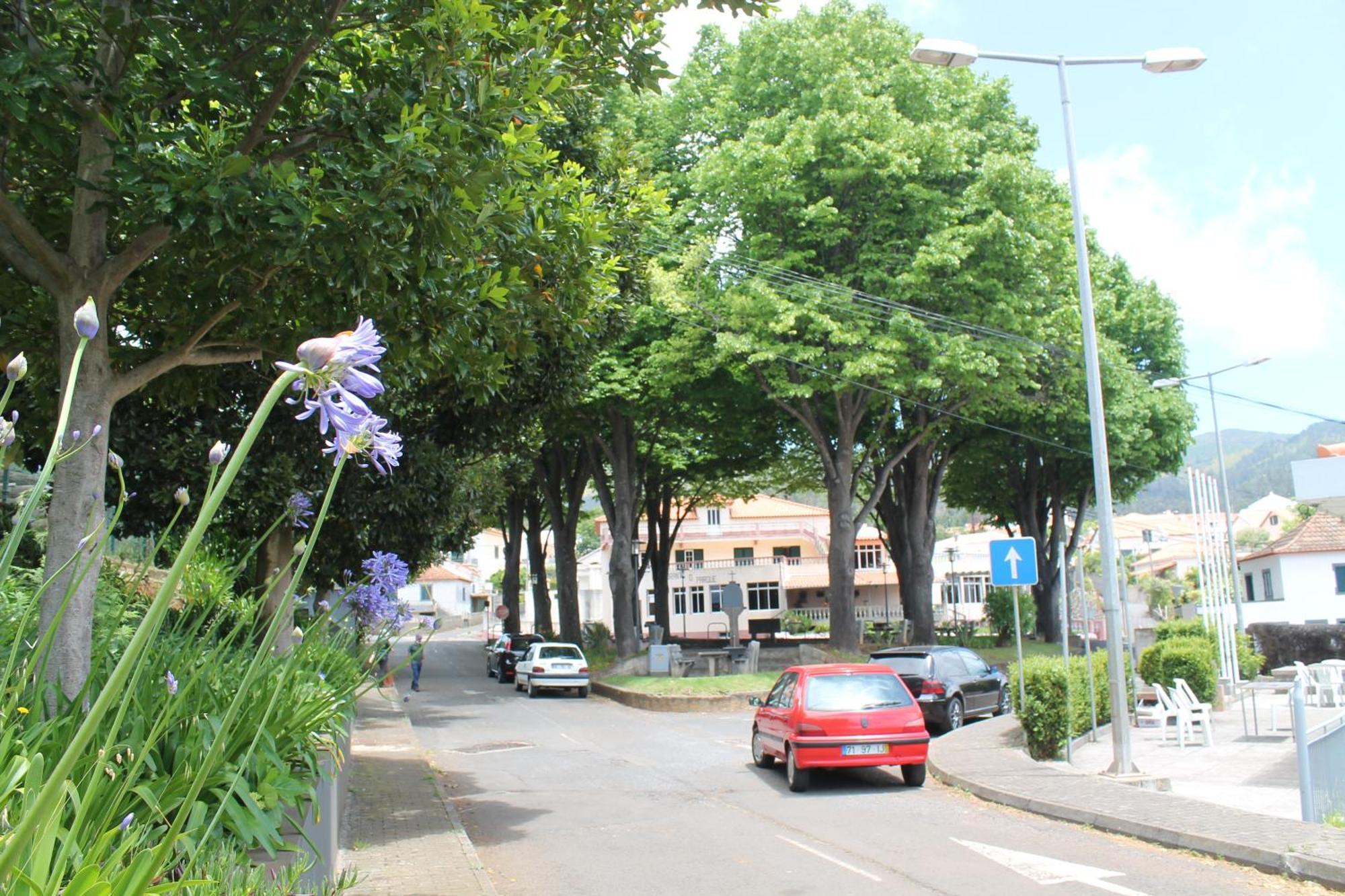 Ourmadeira - Seaview Apartment, Countryside カリェタ エクステリア 写真